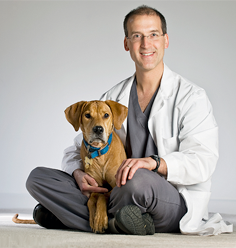 Dr. Tibor Lazar/Lazar Veterinary Surgery (Consulting Surgeon)