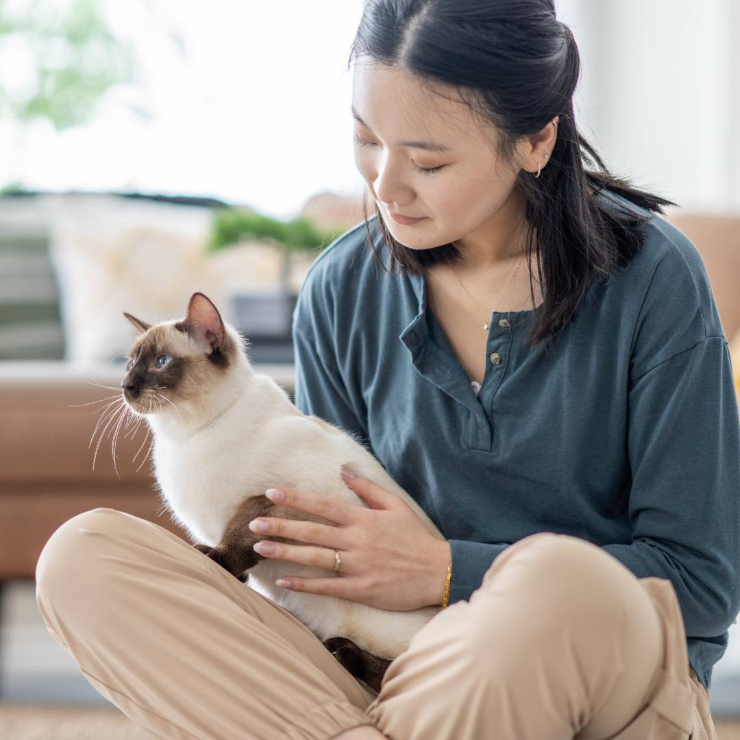 Woman holding white Siamese cat