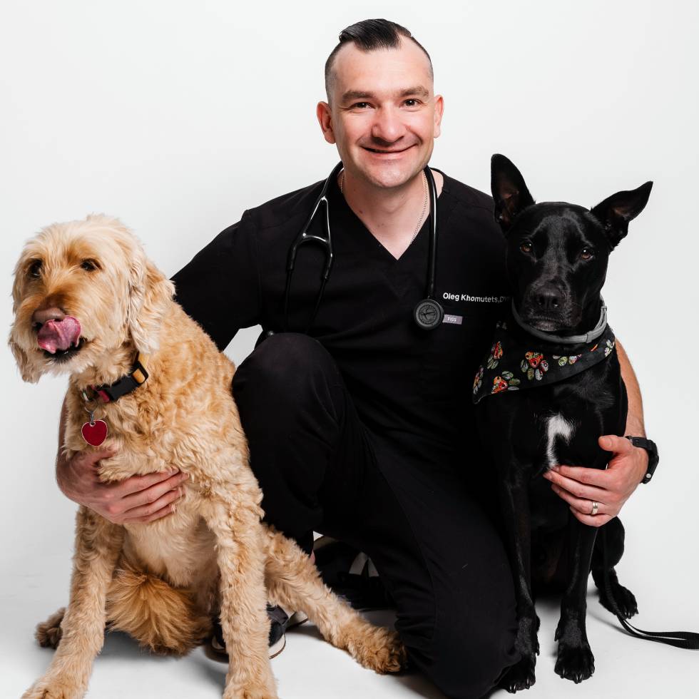 doctor holding pets